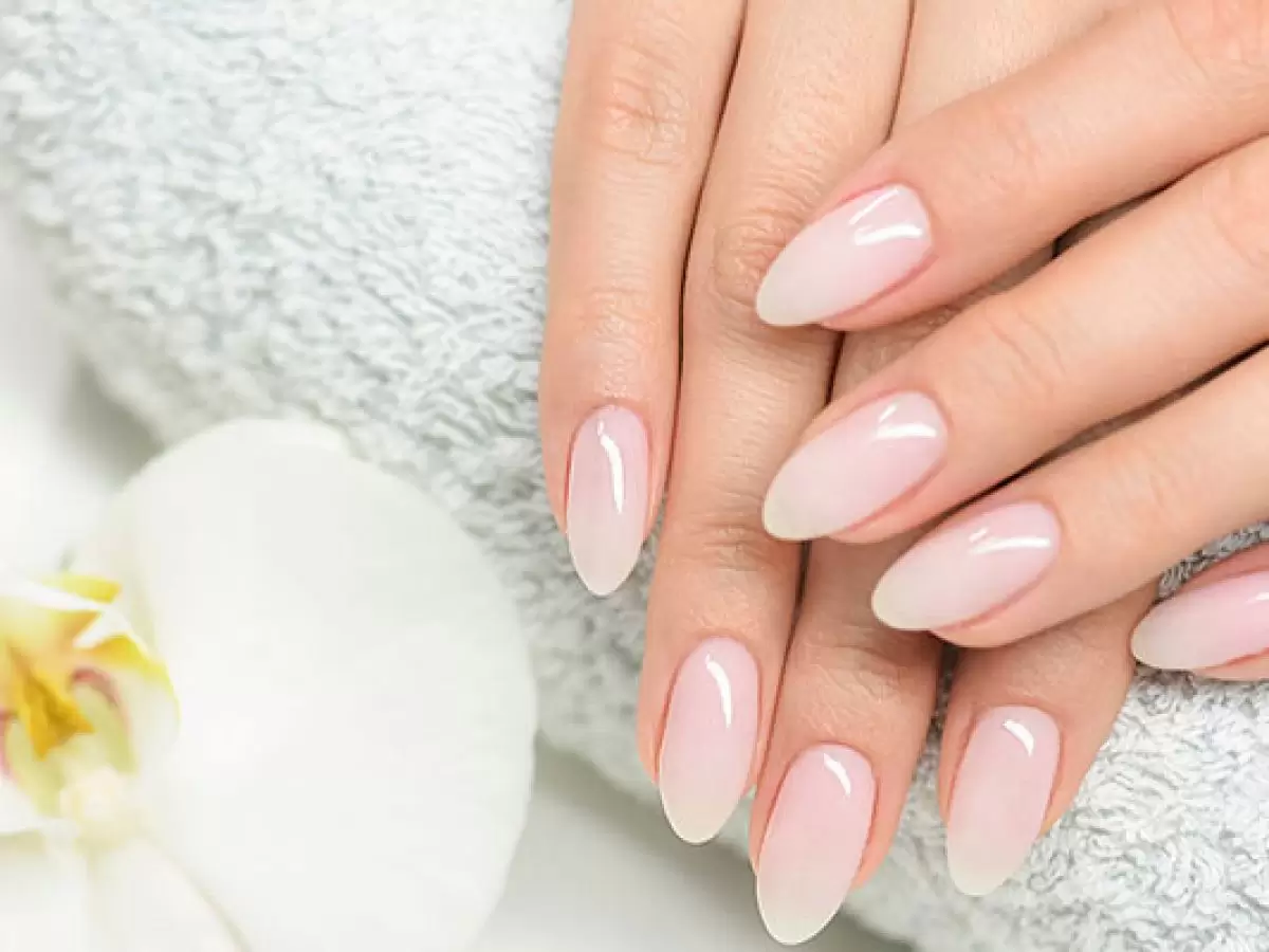 Çamlık Protez Tırnak